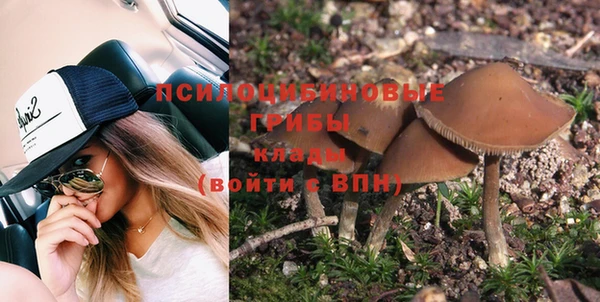 ГАЛЛЮЦИНОГЕННЫЕ ГРИБЫ Зерноград