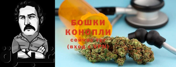 ГАЛЛЮЦИНОГЕННЫЕ ГРИБЫ Зерноград