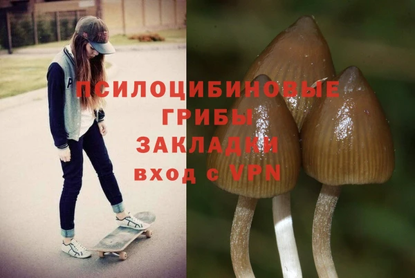 синтетический гашиш Зеленокумск